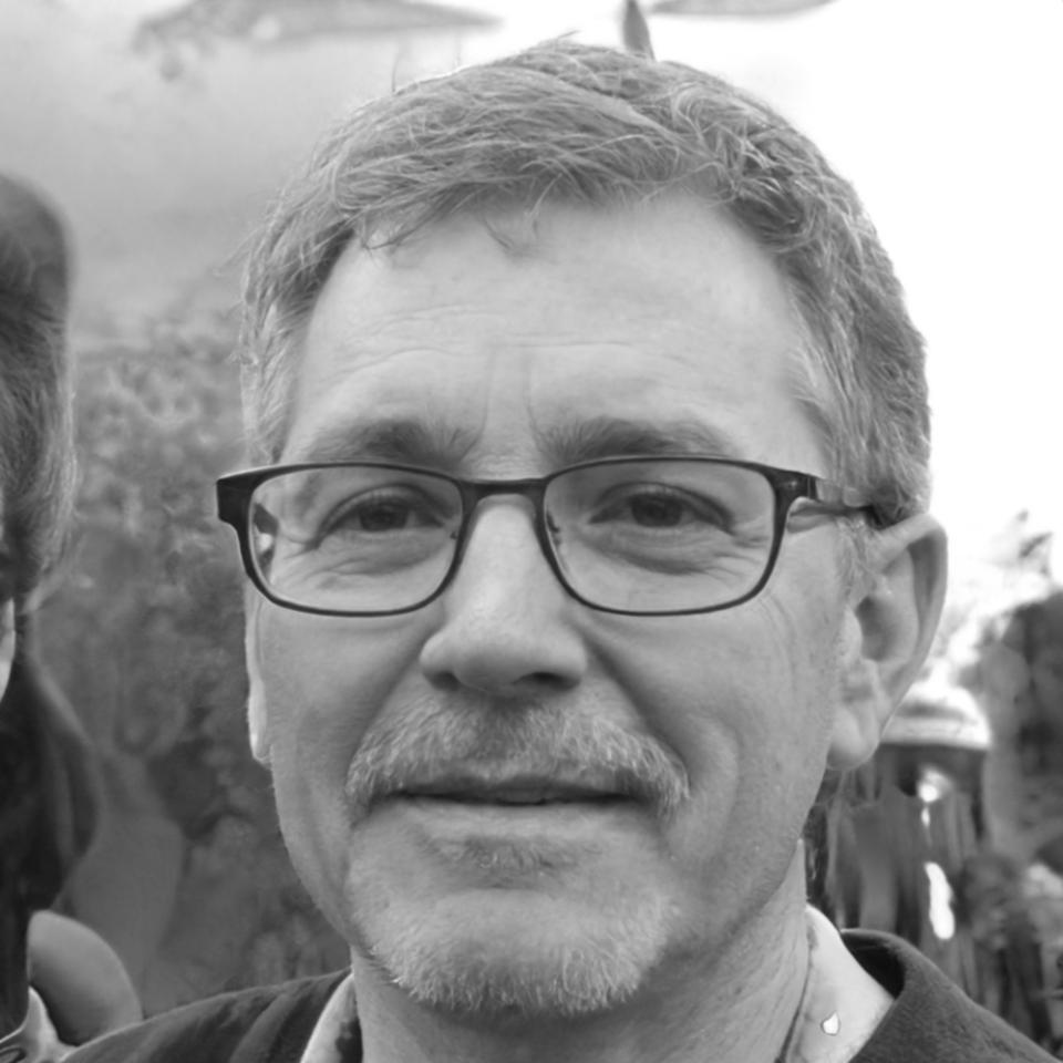 Lukas Bergström, Finanztrainer bei doravistique